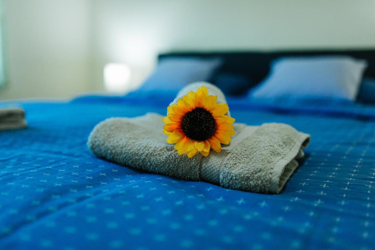 Sunflower Sombor Exteriér fotografie